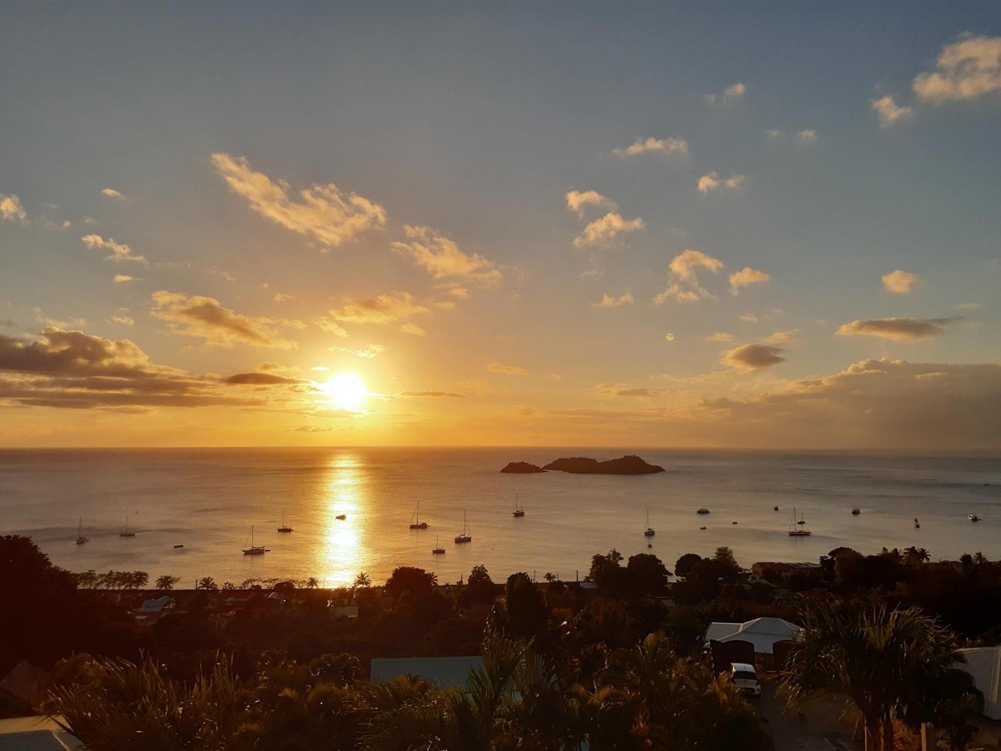 Logements Vue Mer Acces Piscine En Guadeloupe Bouillante Buitenkant foto